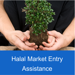 Halal Market Entry Assitance